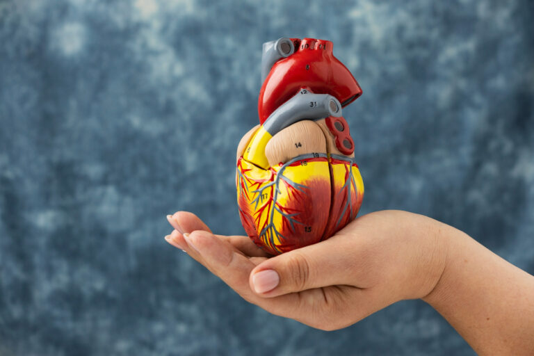 Early Signs of Heart Disease and How to Prevent It